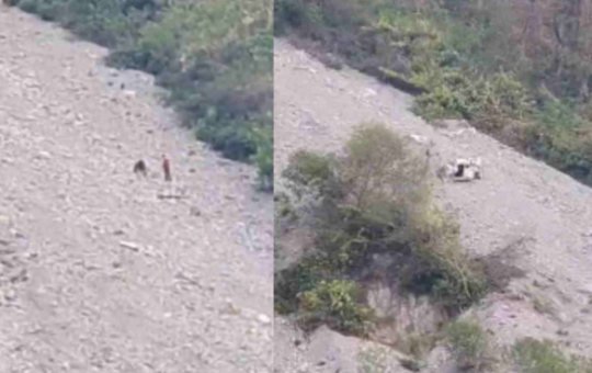 बद्रीनाथ राजमार्ग: केदारनाथ से लौट रहे श्रद्धालुओं की कार दुर्घटनाग्रस्त