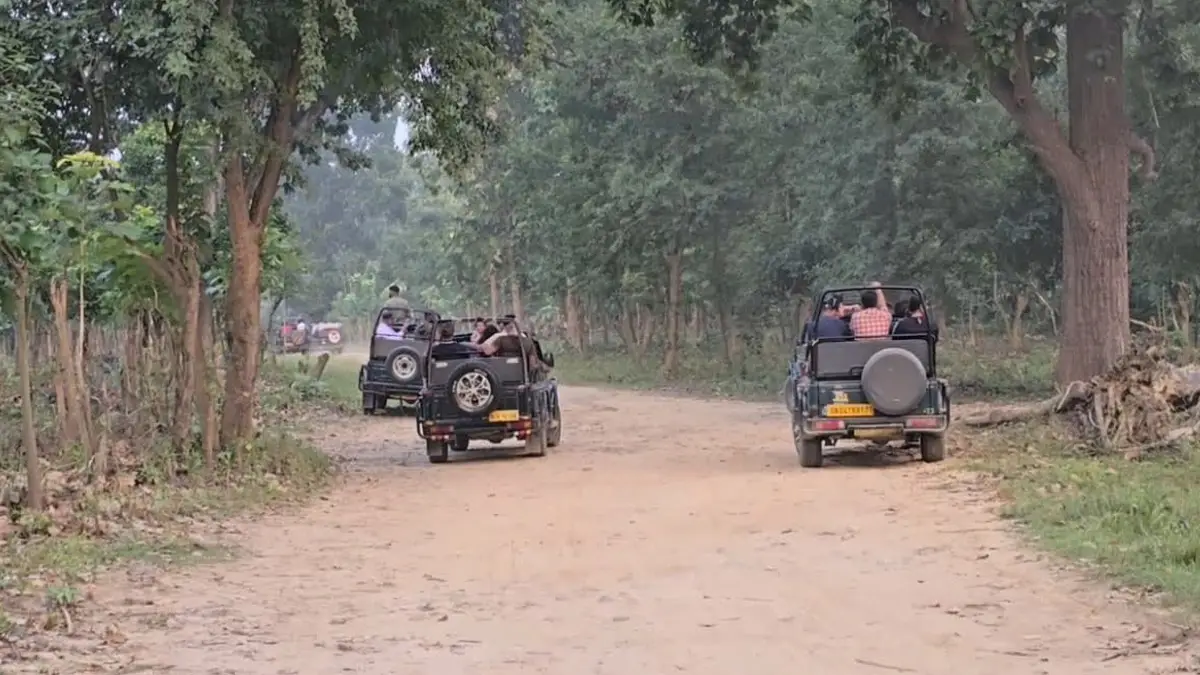Corbett के ढिकाला जोन में पर्यटकों की भारी डिमांड, 21 दिसंबर तक नाइट स्टे की बुकिंग फुल